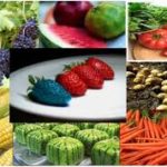 Transgenic plant, biotechnology, Recombinant DNA, genetic engineering, genome, gene, pollination, Bt, GM plant, crop, golden rice, advantage, breeding, species, microorganism